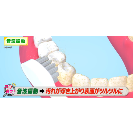 LEソニックウォッシュ 1台 | テレビ通販サイトのカンテレSHOPPING